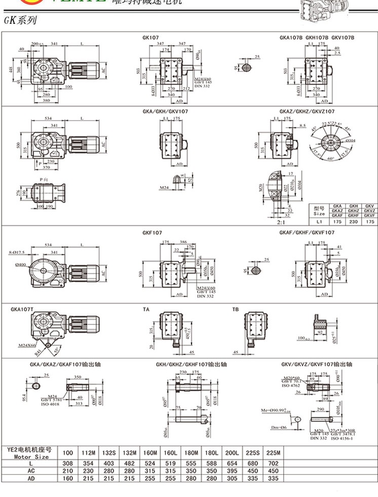 TK108傘齒輪減速電機圖紙